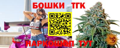 бошки Дубна