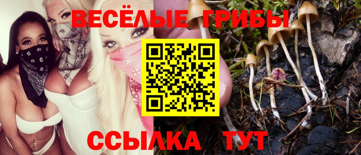 Псилоцибиновые грибы Magic Shrooms  Галлюциногенные грибы Cubensis  Кызыл  Вход с VPN 