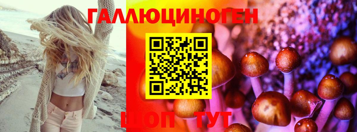 Галлюциногенные грибы мухоморы Кызыл